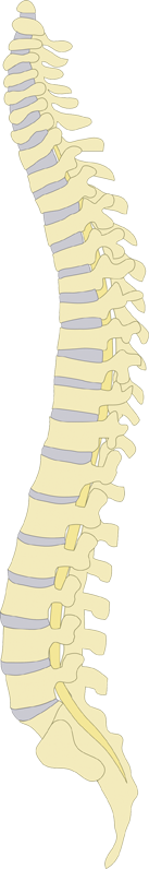 Wirbelsäulentherapie